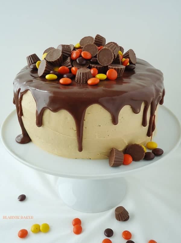 Chocolate-Peanut-Butter-Cake-sized