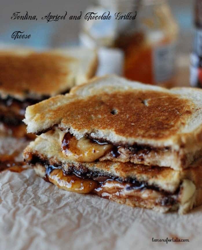 Fontina-Apricot-and-Chocolate-Grilled-Cheese-1